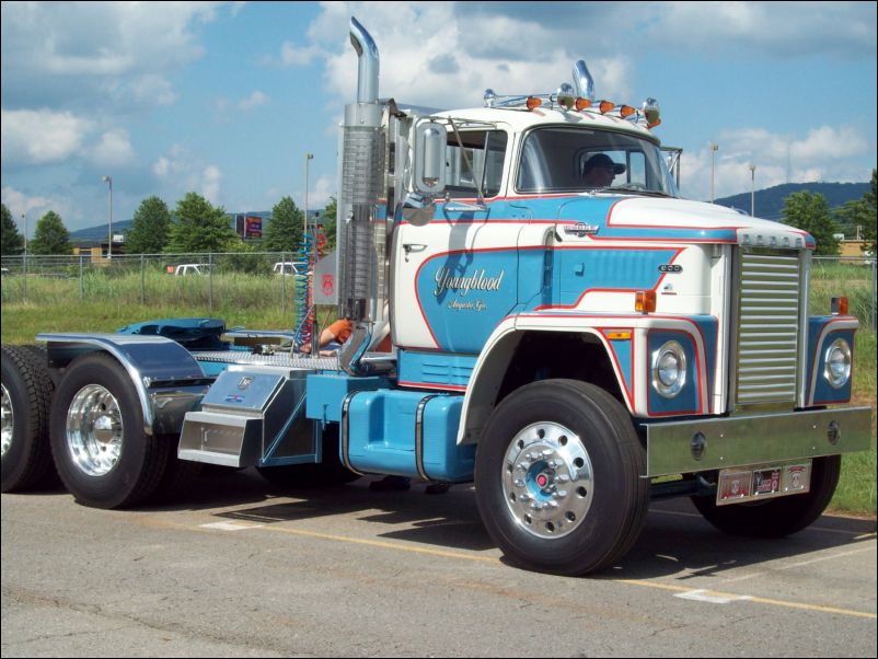 ATHS  Truck Show 2009 555